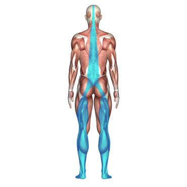Funktionales Basistraining